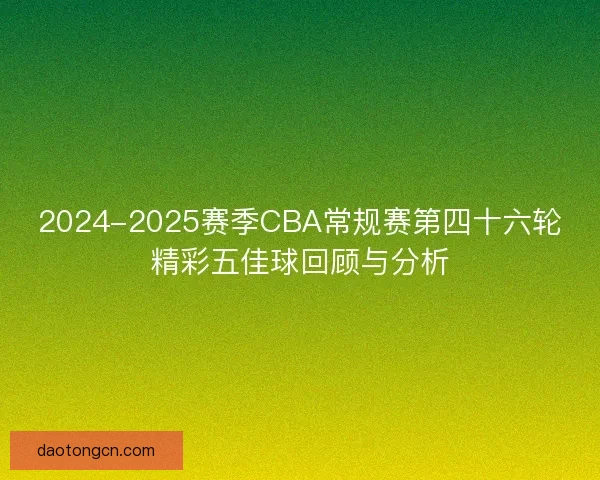 2024-2025赛季CBA常规赛第四十六轮精彩五佳球回顾与分析