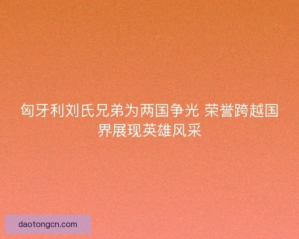 匈牙利刘氏兄弟为两国争光 荣誉跨越国界展现英雄风采